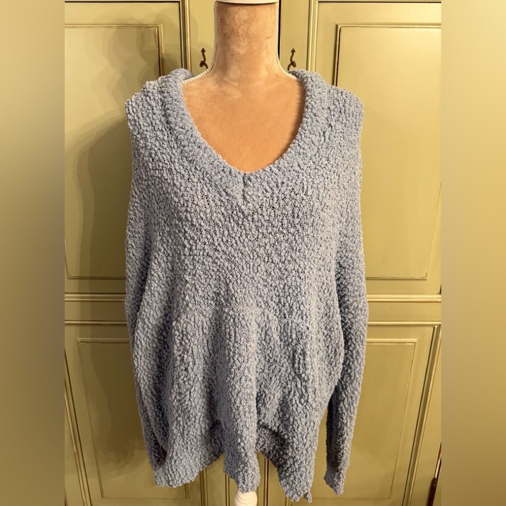 ARULA- chunky soft blue hooded sweater. Great condition.